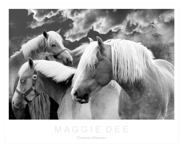 The Art of the Horse : Maggie Dee, Photographer